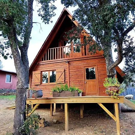 Family Friendly On A Ecological Farm In Tomar, Portgual *