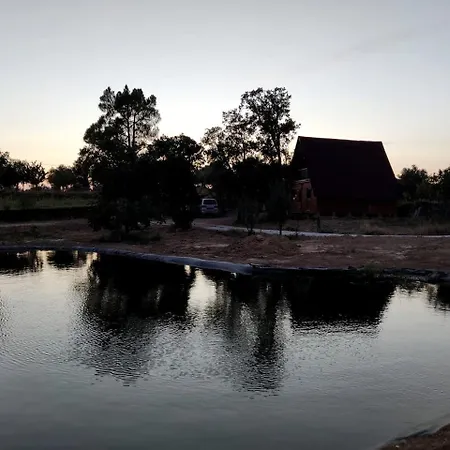 Family Friendly On A Ecological Farm In Tomar, Portgual *