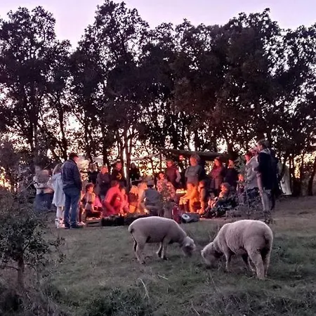 Hébergement de vacances Family Friendly On A Ecological Farm In Tomar, Portgual Tomar