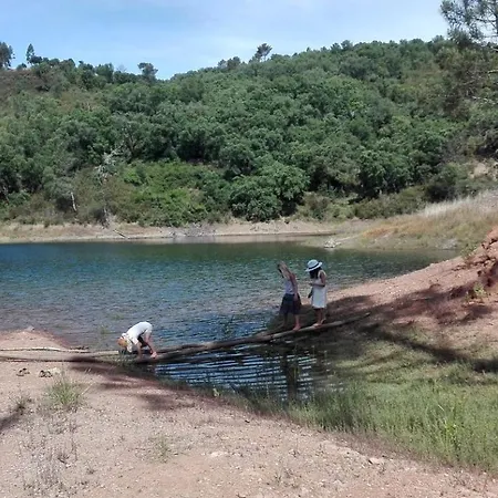 Family Friendly On A Ecological Farm In Tomar, Portgual Tomar